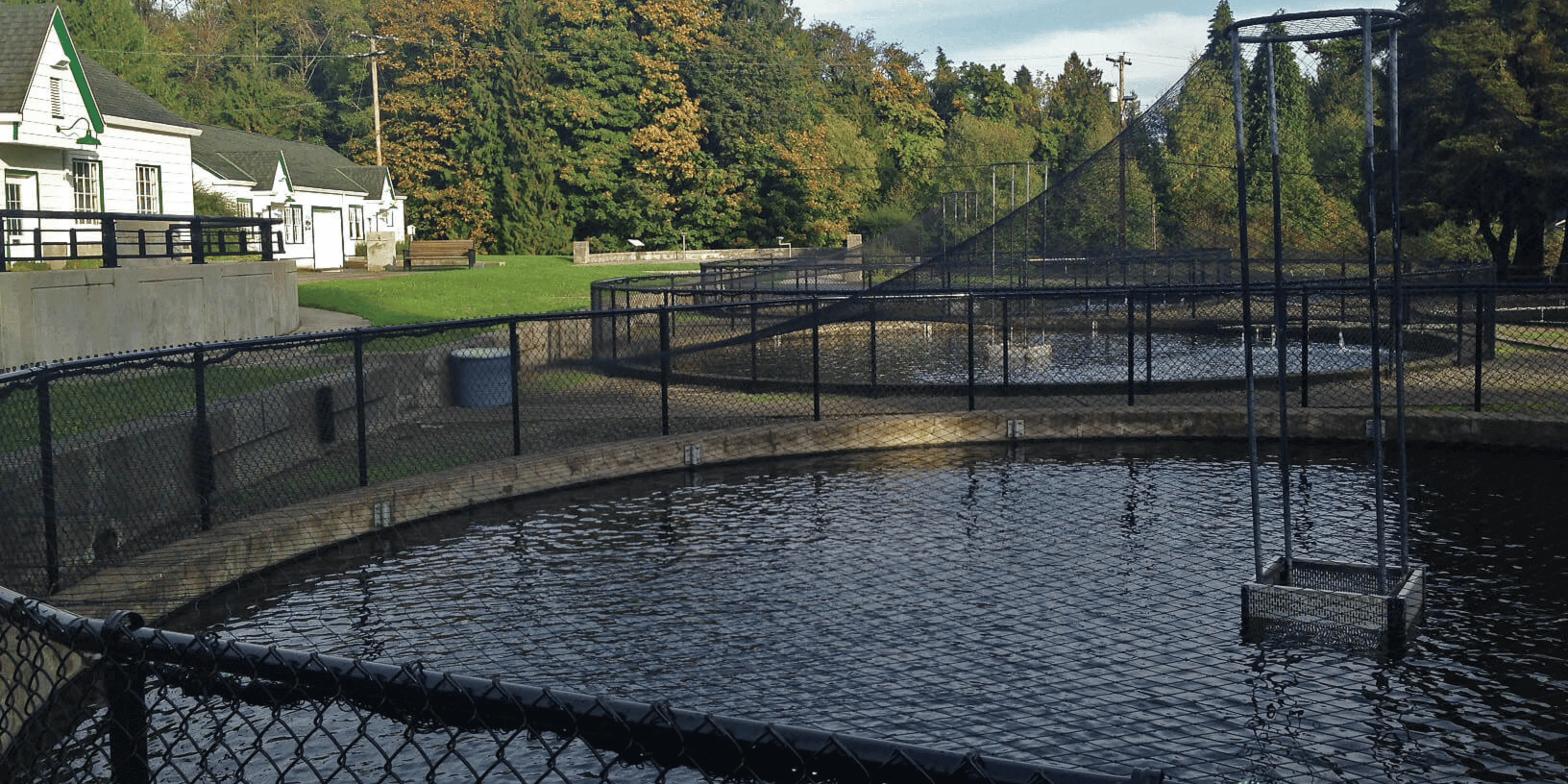 Multiple custom netting net pen structures that protect fish from birds and predators
