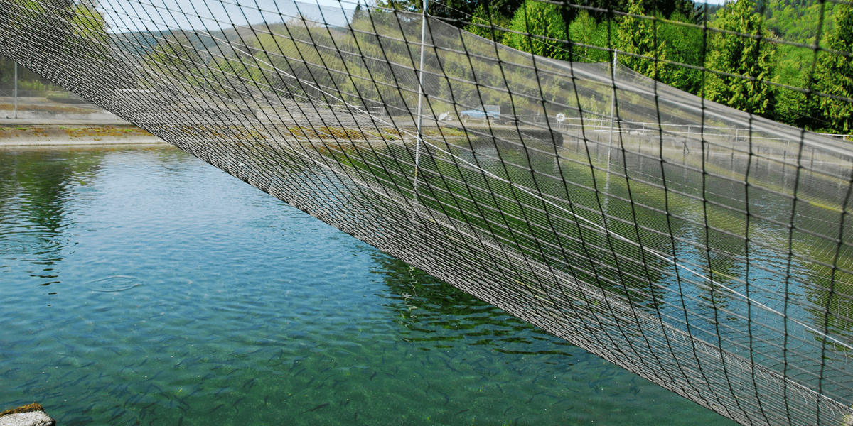 Custom Aquaculture Netting | Live Expert Help | Fast Lead Times